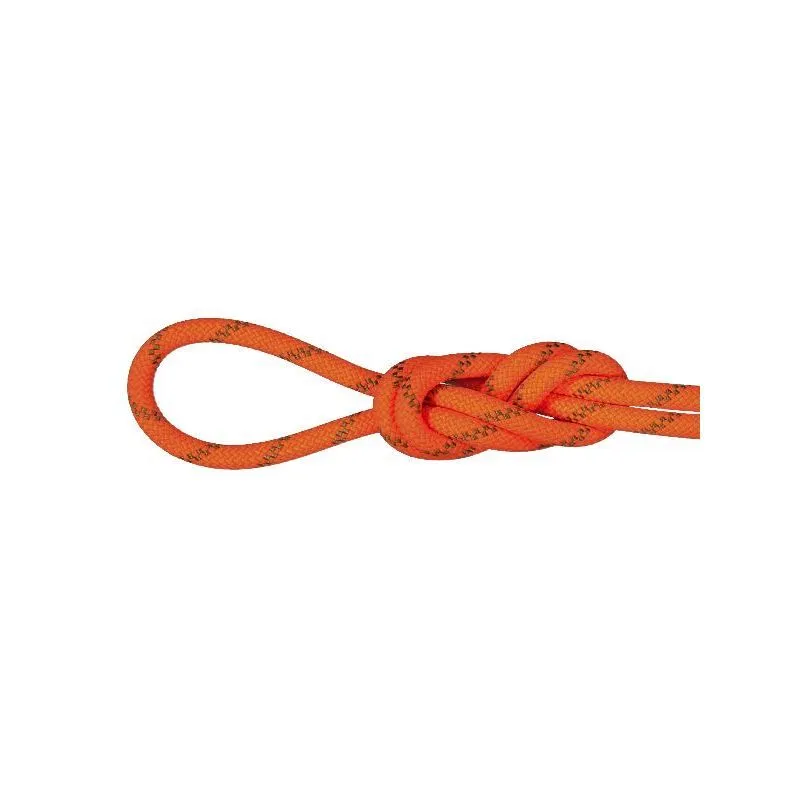 Mammut 8.0 Alpine Dry Rope - Halbseil